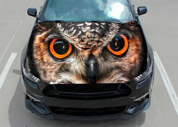 наклейка с изображением животного в виде совы, графика на автомобиль, виниловая наклейка, рисунок обложки, наклейка на упаковку, индивидуальный дизайн 