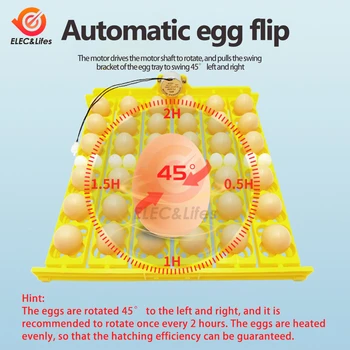 Автоматический инкубатор для яиц Вместимостью 36/156 Утиных куриных птичьих яиц Пластиковый лоток для яиц Инкубаторные лотки для яиц Выводятся с помощью двигателя автоматического поворота Изображение 2